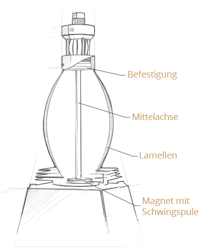 Illustration: Ein Radialstrahler von innen - Befestigung, Mittelachse, Lamellen, Schwingspule